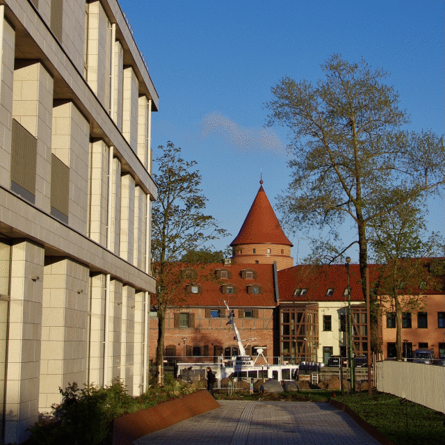IMGG8656.JPG