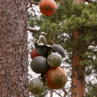 IMGG8594.JPG