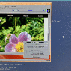 2F422908-64AC-4C2E-A304-896B944CDC07.jpg