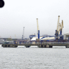 IMGG8578.JPG