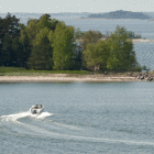 IMGG9478.JPG